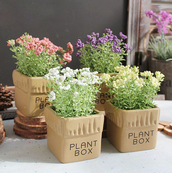 chậu hoa để bàn plant box